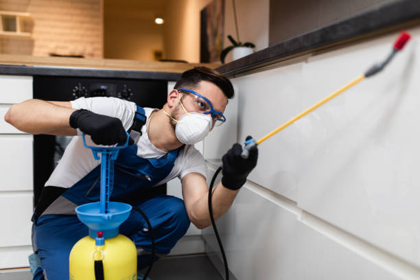 Best Best Pest Control Companies  in Socorro, NM
