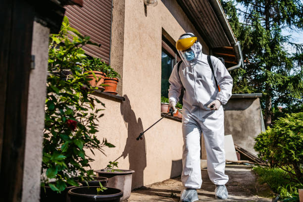 Best Flea Control Services  in Socorro, NM
