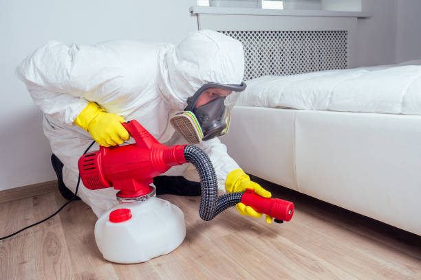 Best Mosquito Control Services  in Socorro, NM