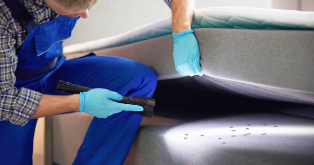 Flea Control Services in Socorro, NM